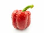 Red Pepper Stock Photo