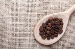 Coffee Beans In Spoon Stock Photo