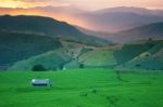 Rice Field On The Mountain Stock Photo