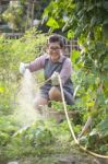 Asian Woman Relaxing Water Pouring In Home Vegetable Garden Stock Photo