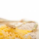 Italian Pasta Penne With Wheat Stock Photo