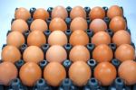 Eggs Chicken For Eat Stock Photo