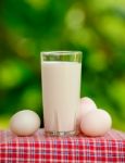 Glass Of Milk And Egg On Nature Background Stock Photo