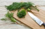 Dill Vegetable Ingredient Nature Organic Green Chopped Kitchen Stock Photo