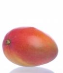 Mango Stock Photo