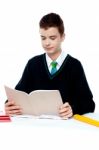 School Boy Reading Stock Photo