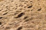 Background With Texture Of Sand And Dune In The Summer Stock Photo