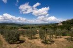 Montepulciano, Tuscany/italy - May 17 : View Of San Biagio Churc Stock Photo