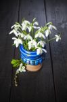 Snowdrops In A Blue Vase Stock Photo