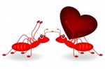 Red Ant And Red Heart Stock Photo