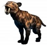 Smilodon Stock Photo