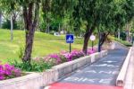 Sign Bike Lane In The Park Stock Photo