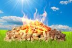 Fire Pellet In Green Land Stock Photo