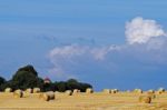 Straw Bales Stock Photo