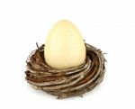 Egg In Nest Stock Photo