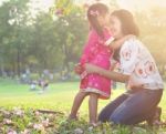 Asian Family Stock Photo