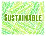 Sustainable Word Indicates Conservation Words And Ecological Stock Photo