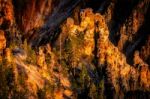 Grand Canyon Of Yellowstone Stock Photo