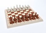 Chess Game Stock Photo