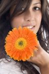 Close Up Of Beautiful Model With Gerbera Stock Photo