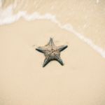 Starfish On The Beach Sand. Close Up Stock Photo