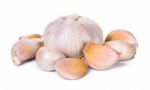 Garlic Isolated On The White Background Stock Photo