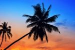 Palm Trees Silhouettes On The Colorful Sky Background Stock Photo