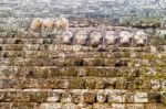 Carved Stones At The  Mayan Ruins In Copan Ruinas, Honduras Stock Photo