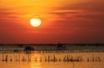 Silhouette Of Thai Fishing House At Sunset Stock Photo