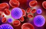 Blood Cell And Swine Influenza Virus Stock Photo