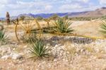 Khomas Highland Landscape In Namibia Stock Photo