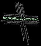 Agricultural Consultant Means Counsellor Consultation And Guide Stock Photo