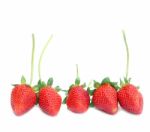 Fresh Strawberry Stock Photo