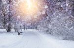 Christmas Lights On Frosty Background Stock Photo