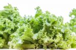 Green Lettuce Growing In Farm Stock Photo