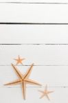 Starfish On White Wood Stock Photo