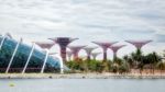 New Botanical Gardens Under Construction In Singapore Stock Photo