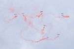 Raf Falcons Display Team Stock Photo