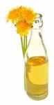 Dandelion Wine Stock Photo