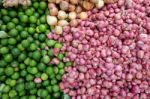 Fresh Vegetable Stock Photo