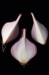 Shallots Still Life Black Background Stock Photo