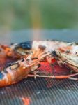 Shrim Grilling In The Stove, Stock Photo