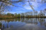 A Beautiful Landscape With Reflection And Blue Sky Stock Photo