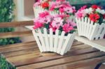 Artificial Flowers Pot Stock Photo