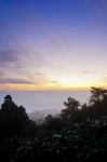 Landscape Sea Of Mist On Sunrise View From High Mountain Stock Photo