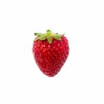 One Strawberry Stock Photo