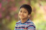 Toddler In Park Stock Photo