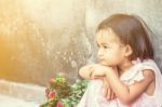 Girl Sitting On The Side Walls Stock Photo