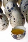 Quail Eggs Stock Photo