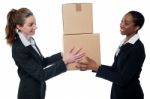 Woman Handing Over Cardboard Boxes Stock Photo